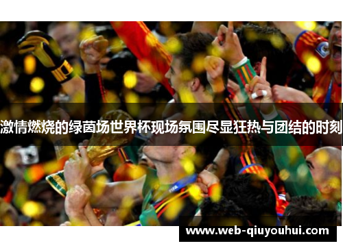 激情燃烧的绿茵场世界杯现场氛围尽显狂热与团结的时刻