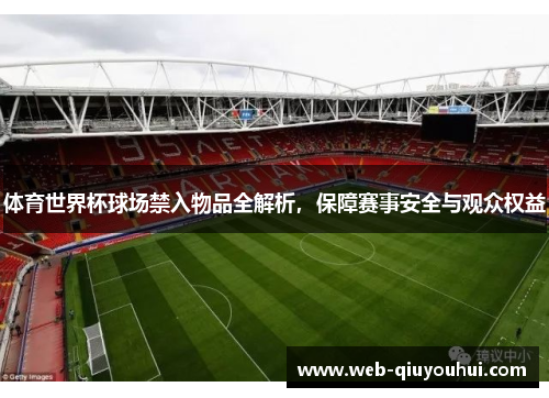 体育世界杯球场禁入物品全解析，保障赛事安全与观众权益